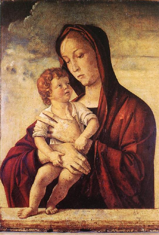 BELLINI, Giovanni Madonna with Child 705 oil painting picture